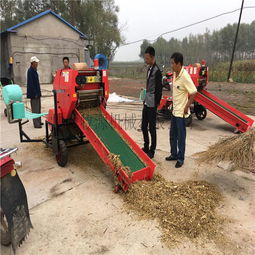 創(chuàng)新驅(qū)動(dòng)發(fā)展 畜牧業(yè)飼料打捆包膜機(jī)廠家的技術(shù)與使命