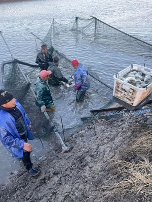 物流受阻、飼料告急、銷路不暢——多地畜牧漁業(yè)遭遇疫情沖擊波